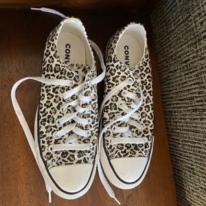 Leopard print converse